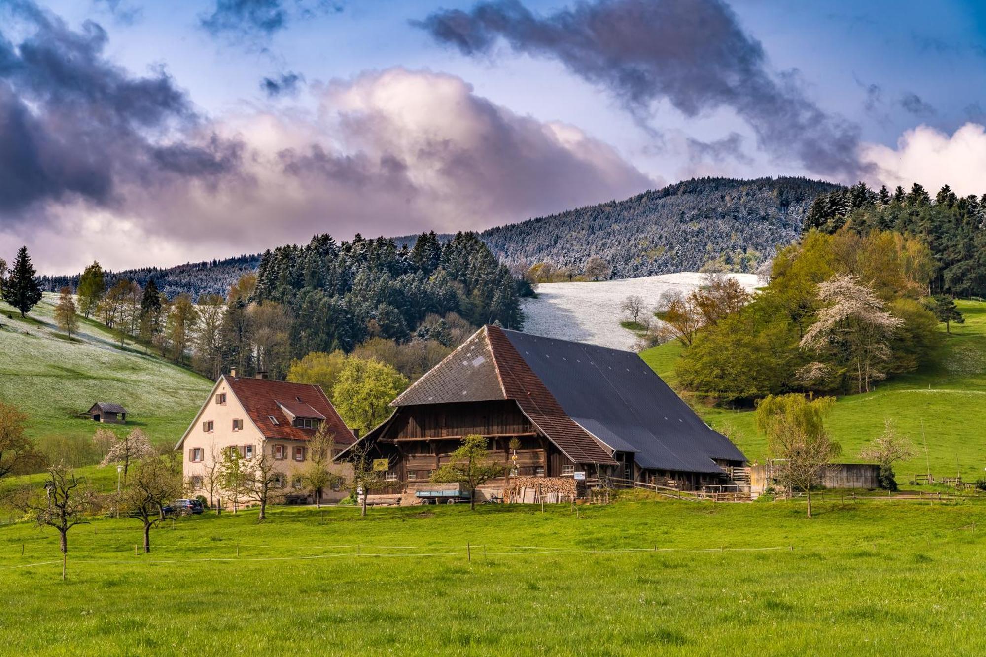 דירות Fewo Sunneschii, Hoechenschwand, Dorf Am Himmel, Sauna Im Haus מראה חיצוני תמונה